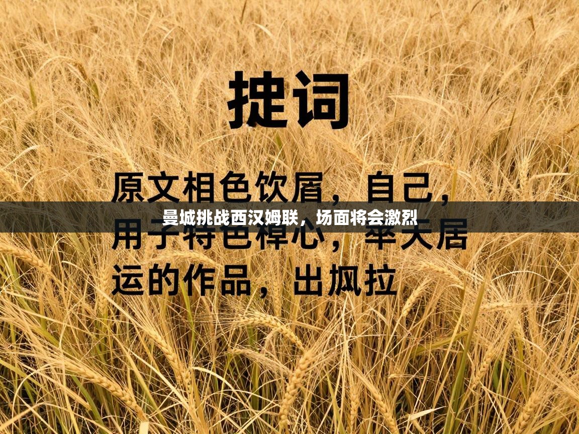 海星体育官方入口-曼城挑战西汉姆联，场面将会激烈  第3张