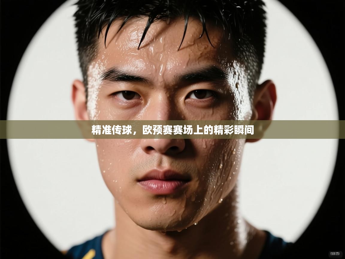 海星体育-精准传球，欧预赛赛场上的精彩瞬间  第1张