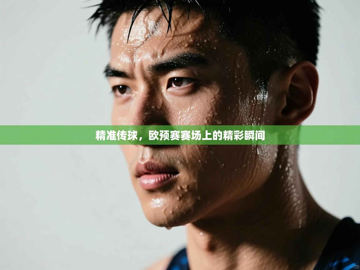海星体育-精准传球，欧预赛赛场上的精彩瞬间  第3张