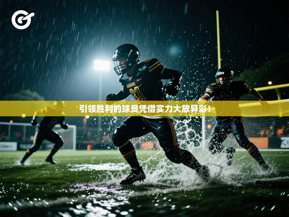 海星体育app下载官网-引领胜利的球员凭借实力大放异彩！  第4张
